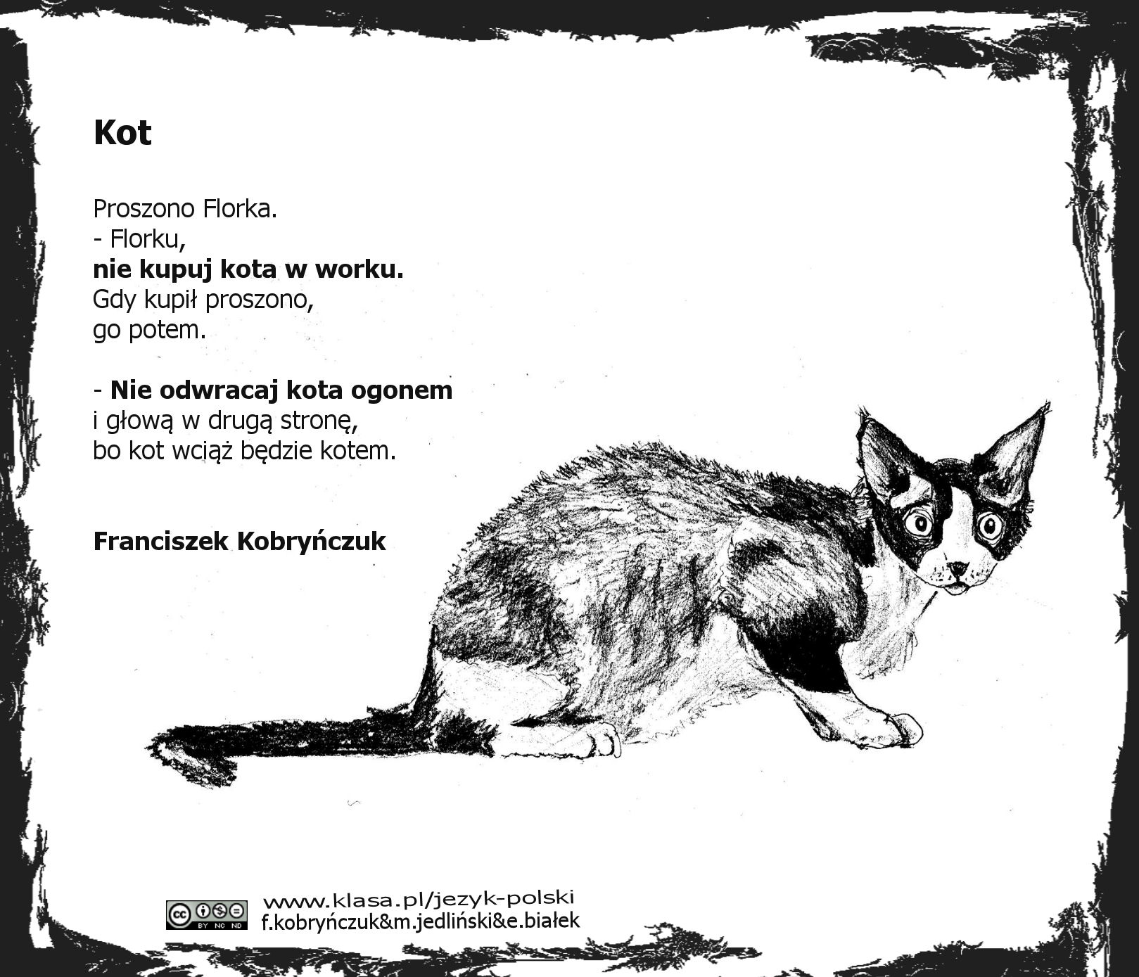Kot - Franciszek Kobryńczuk