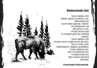 Kartka – Białowieski bór