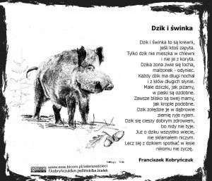 Dzik i świnka - Franciszek Kobryńczuk