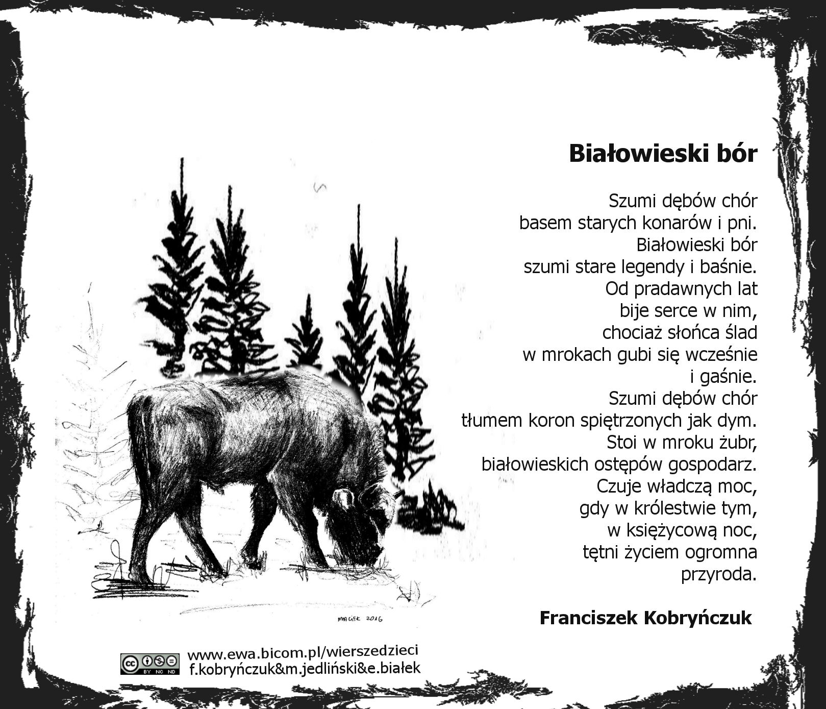 Białowieski bór - Franciszek Kobryńczuk