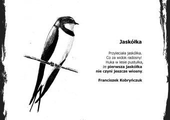 Kartka – Jaskółka